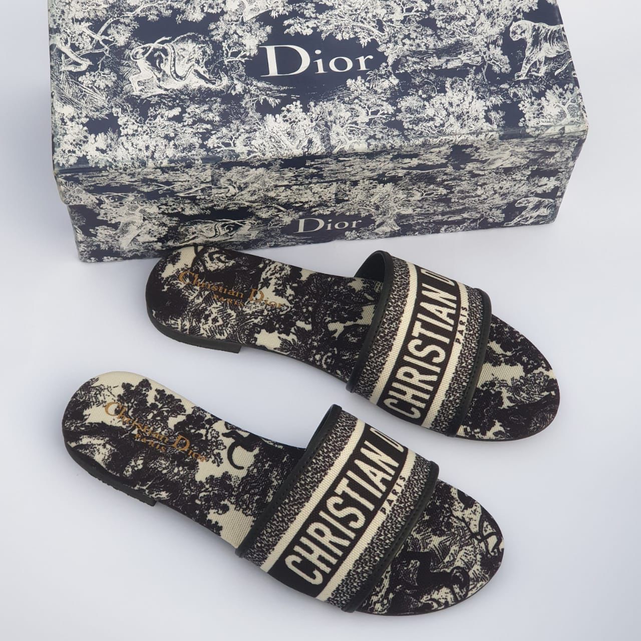 Dior slides