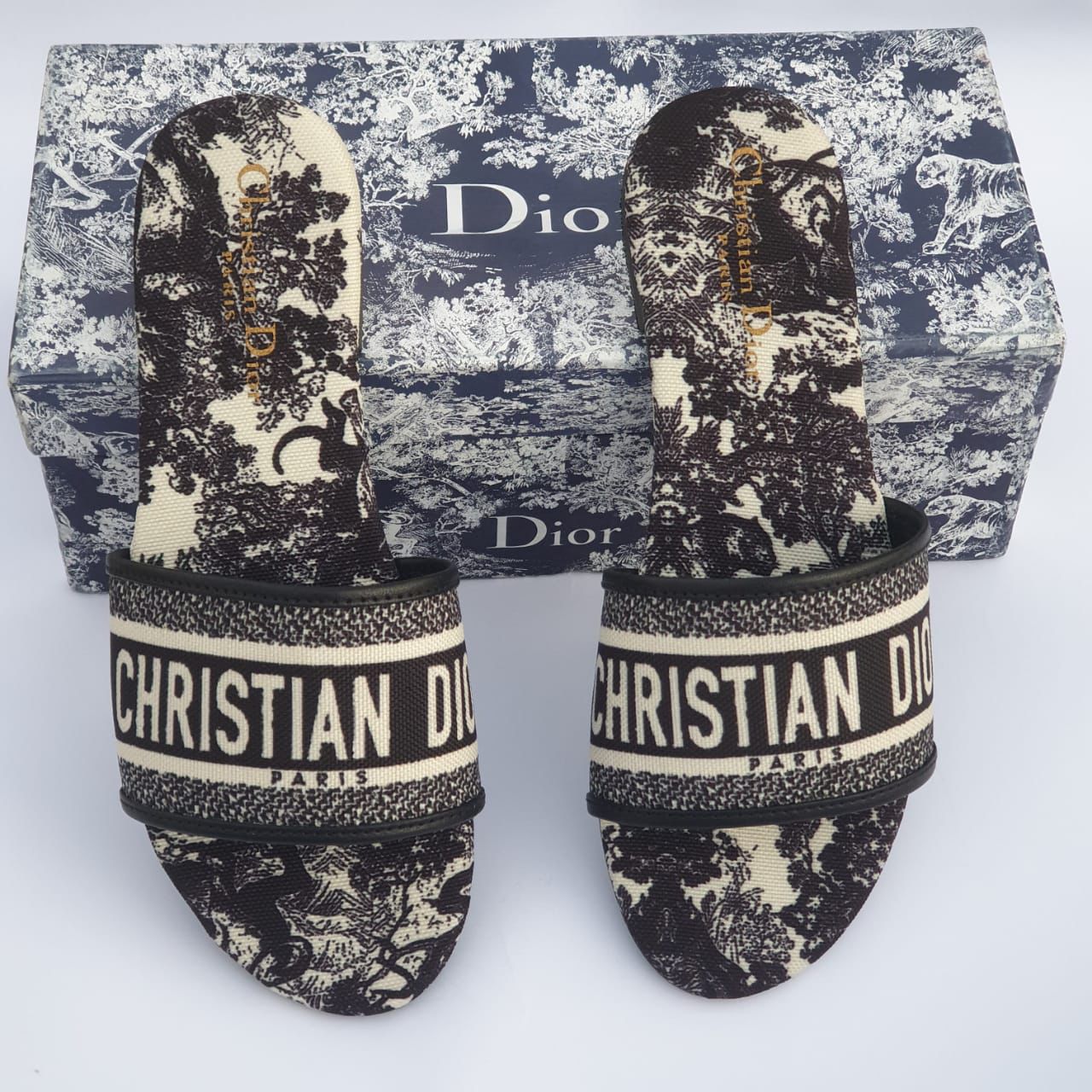 Dior slides