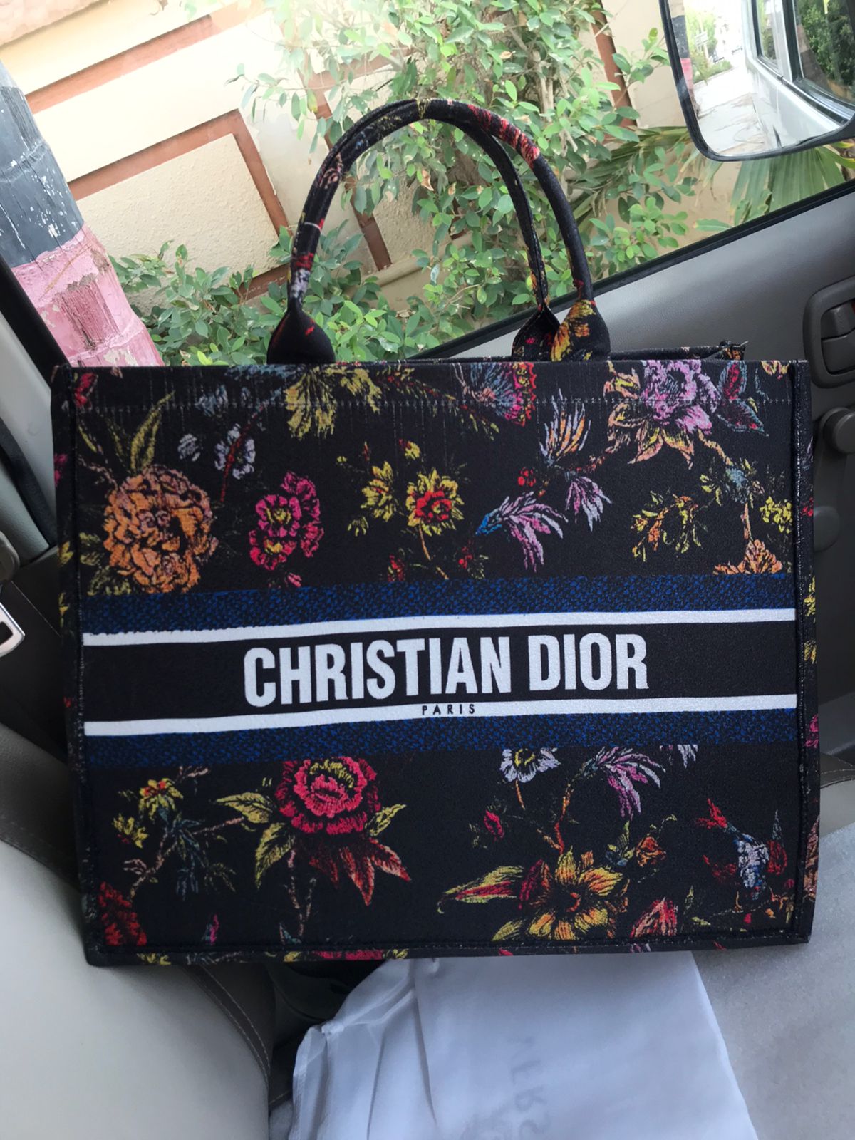 Dior totes