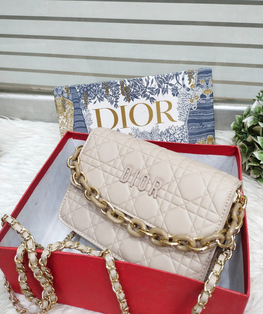 Dior chic